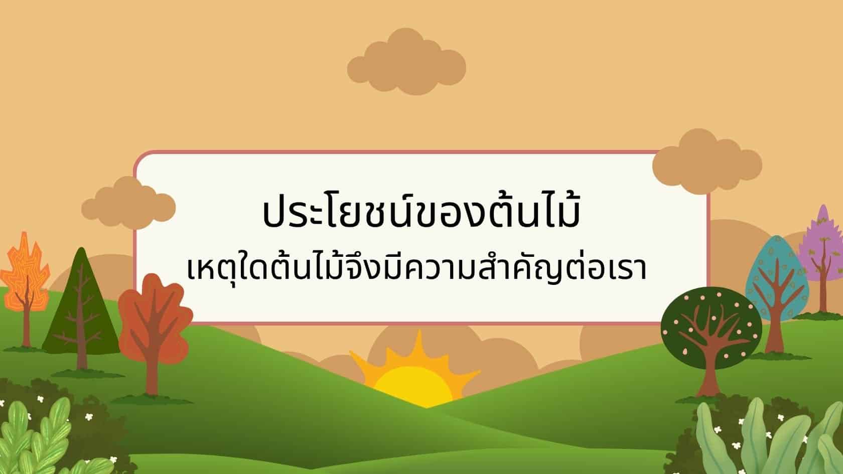 ประโยชน์ของต้นไม้ เหตุใดต้นไม้จึงสำคัญ
