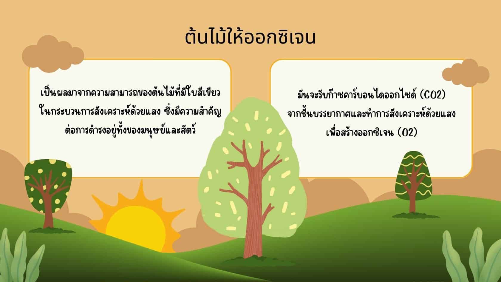 ต้นไม้ให้ออกซิเจน