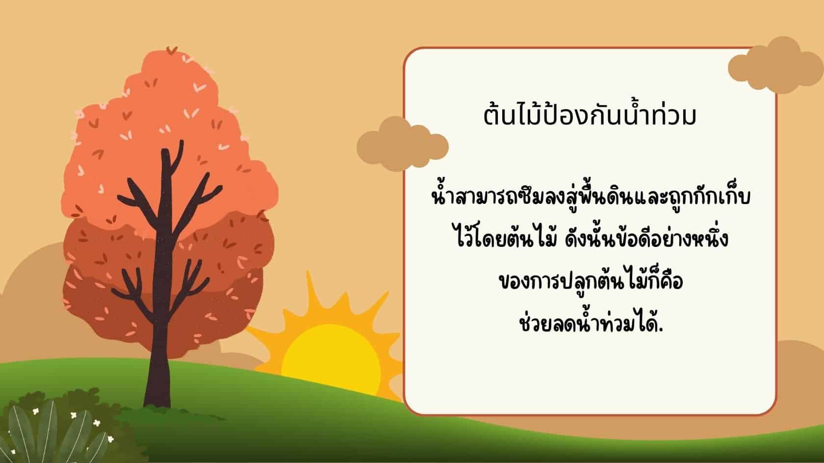 ต้นไม้ป้องกันน้ำท่วม