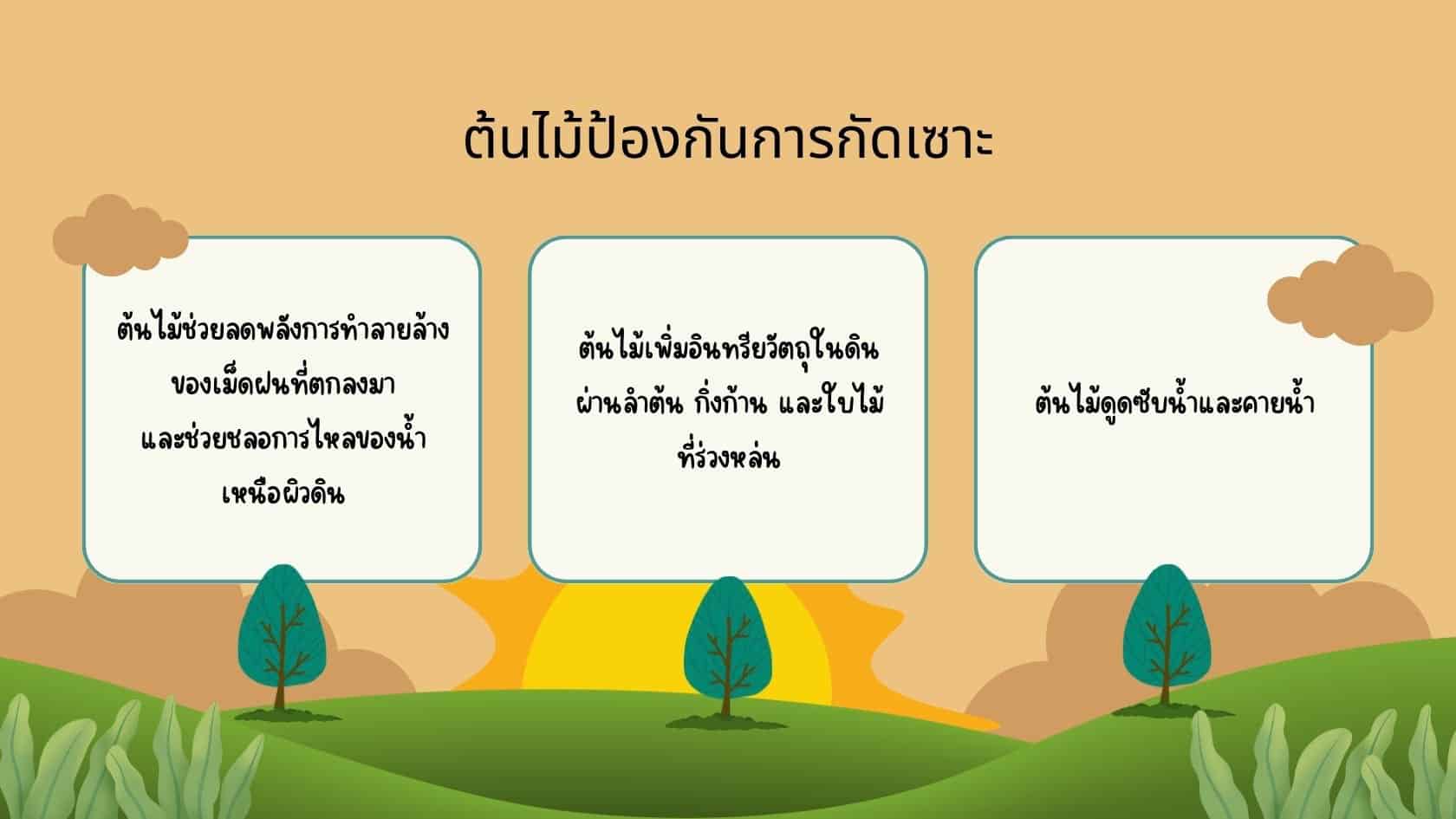 ต้นไม้ป้องกันการกัดเซาะ