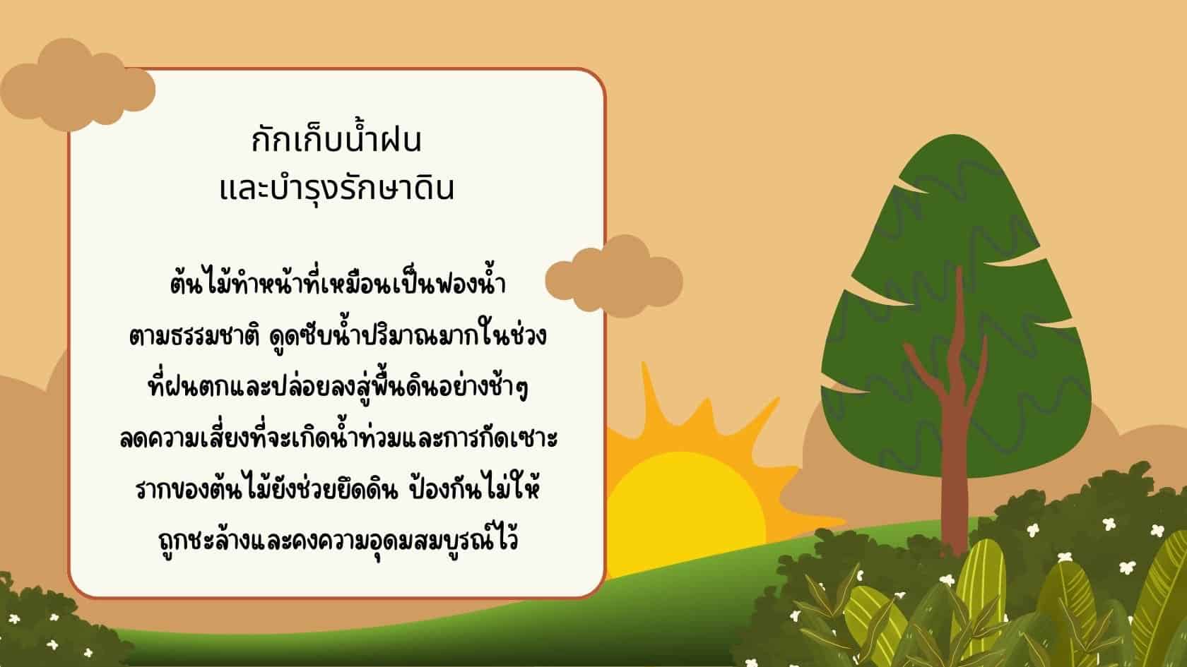 กักเก็บน้ำฝน และบำรุงรักษาดิน