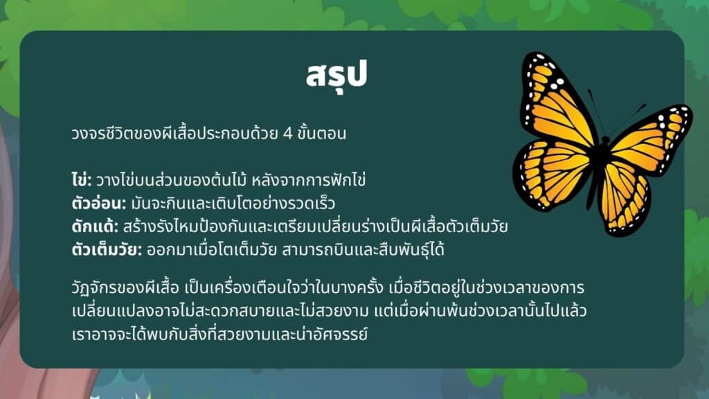 สรุป วงจรชีวิตผีเสื้อ