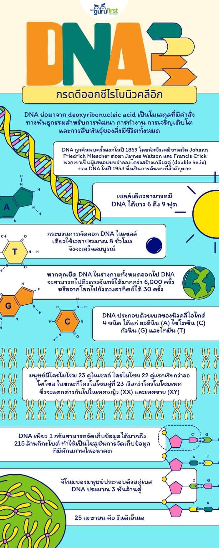 DNA คือ