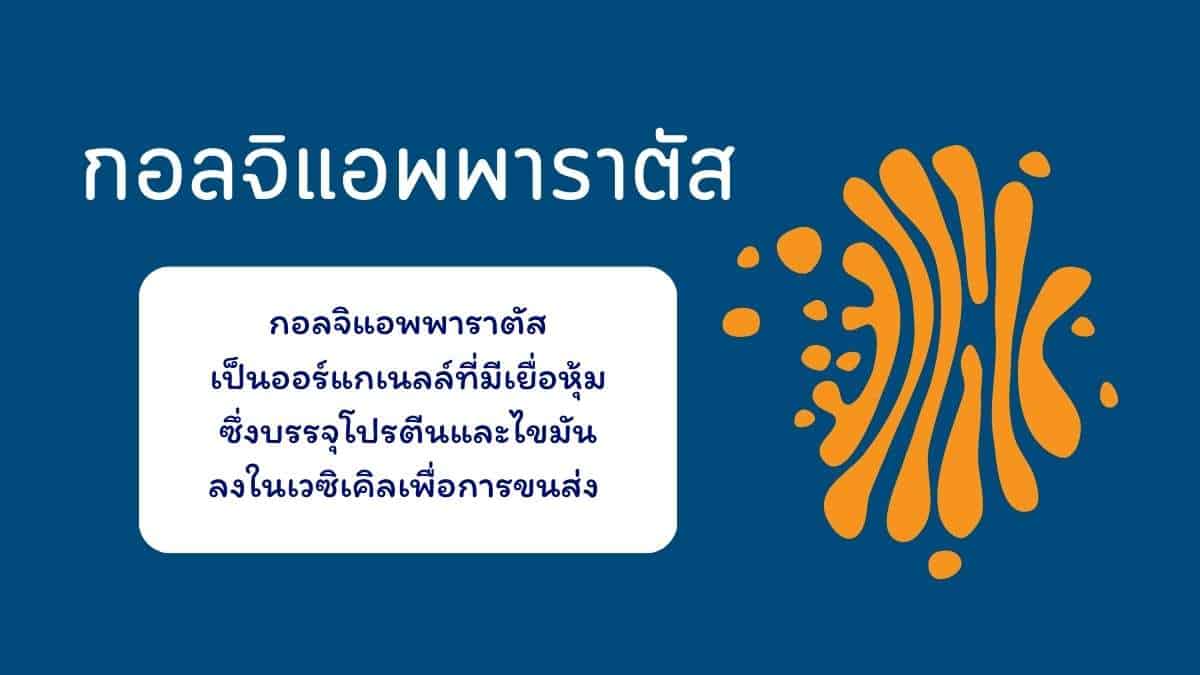 กอลจิแอพพาราตัส