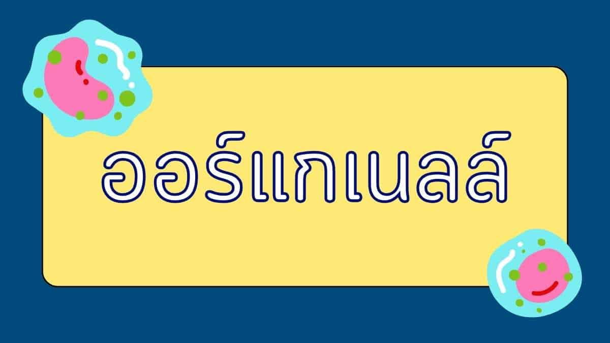 ออร์แกเนลล์