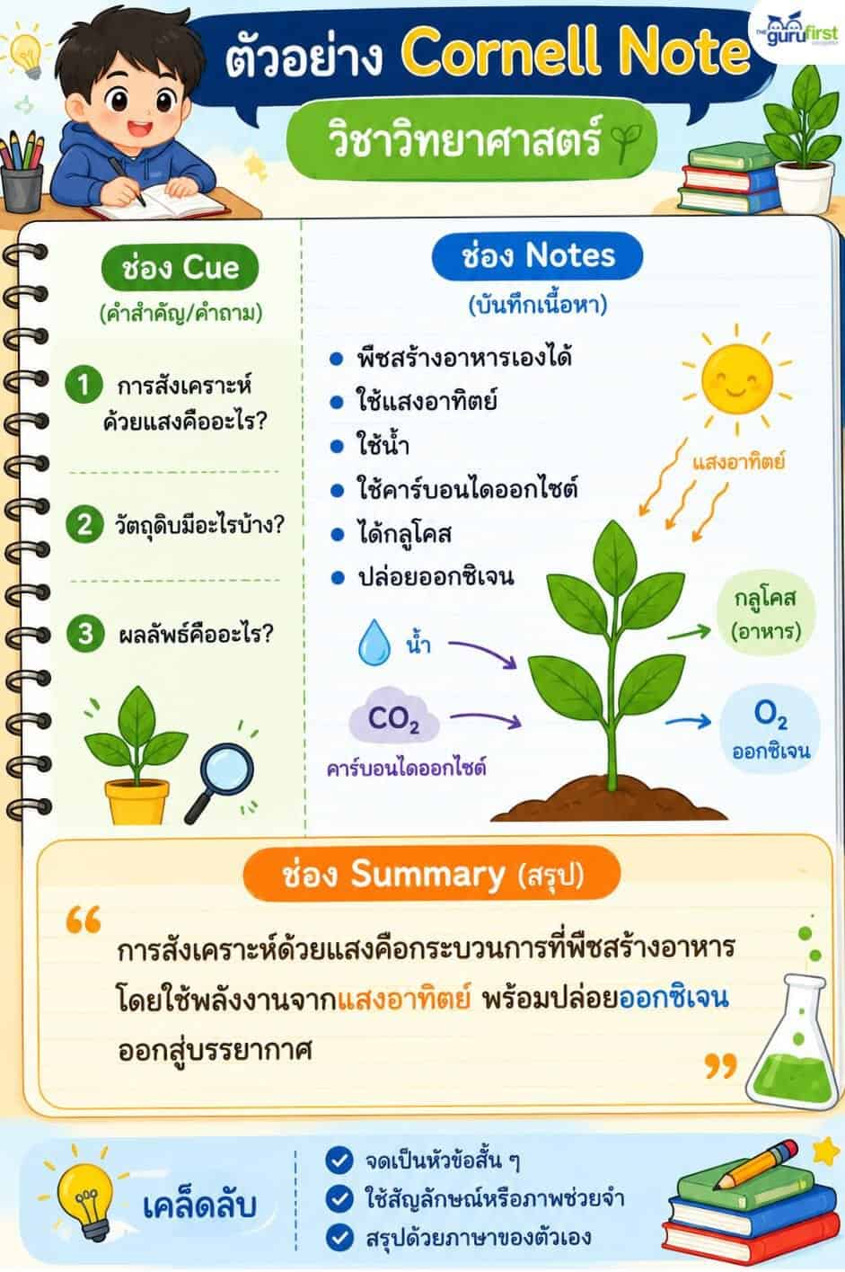 ตัวอย่าง Cornell Note