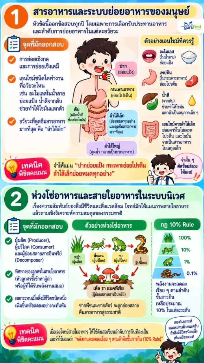 สารอาหาร ห่วงโซ่อาหาร